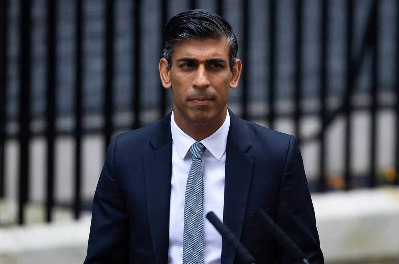 Rishi Sunak warned not to put lives at risk by cutting defence budget