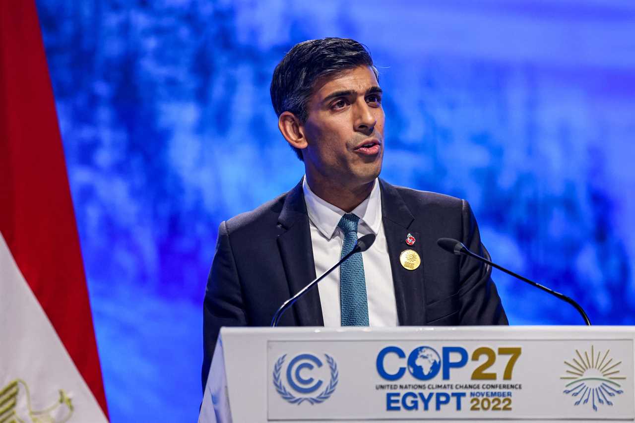 Rishi Sunak says UK is delivering on £11.6bn climate pledge and supporting half a million jobs