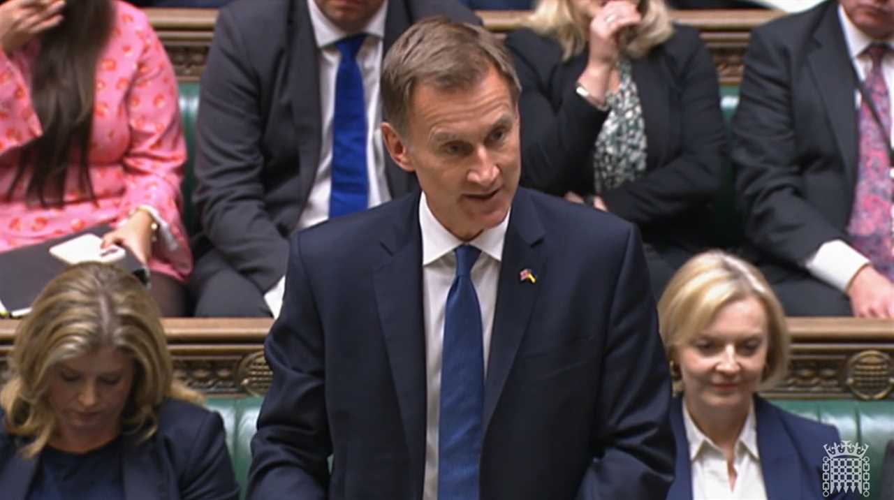 Jeremy Hunt to set out £60bn of tax rises and cuts – hitting Brits with up to £25bn in hikes