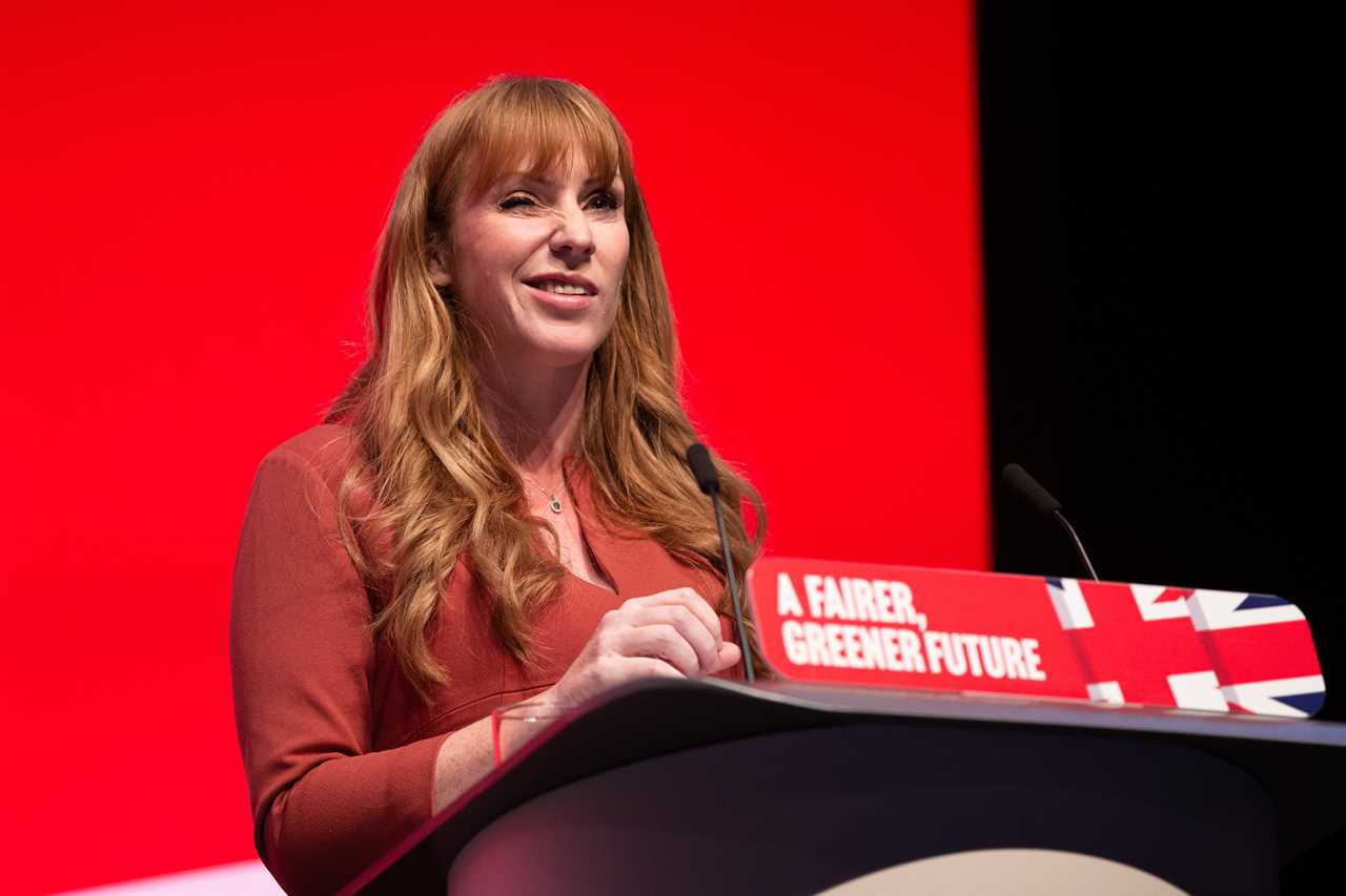 Angela Rayner ‘doesn’t have a particularly strong view either way’ on Brexit
