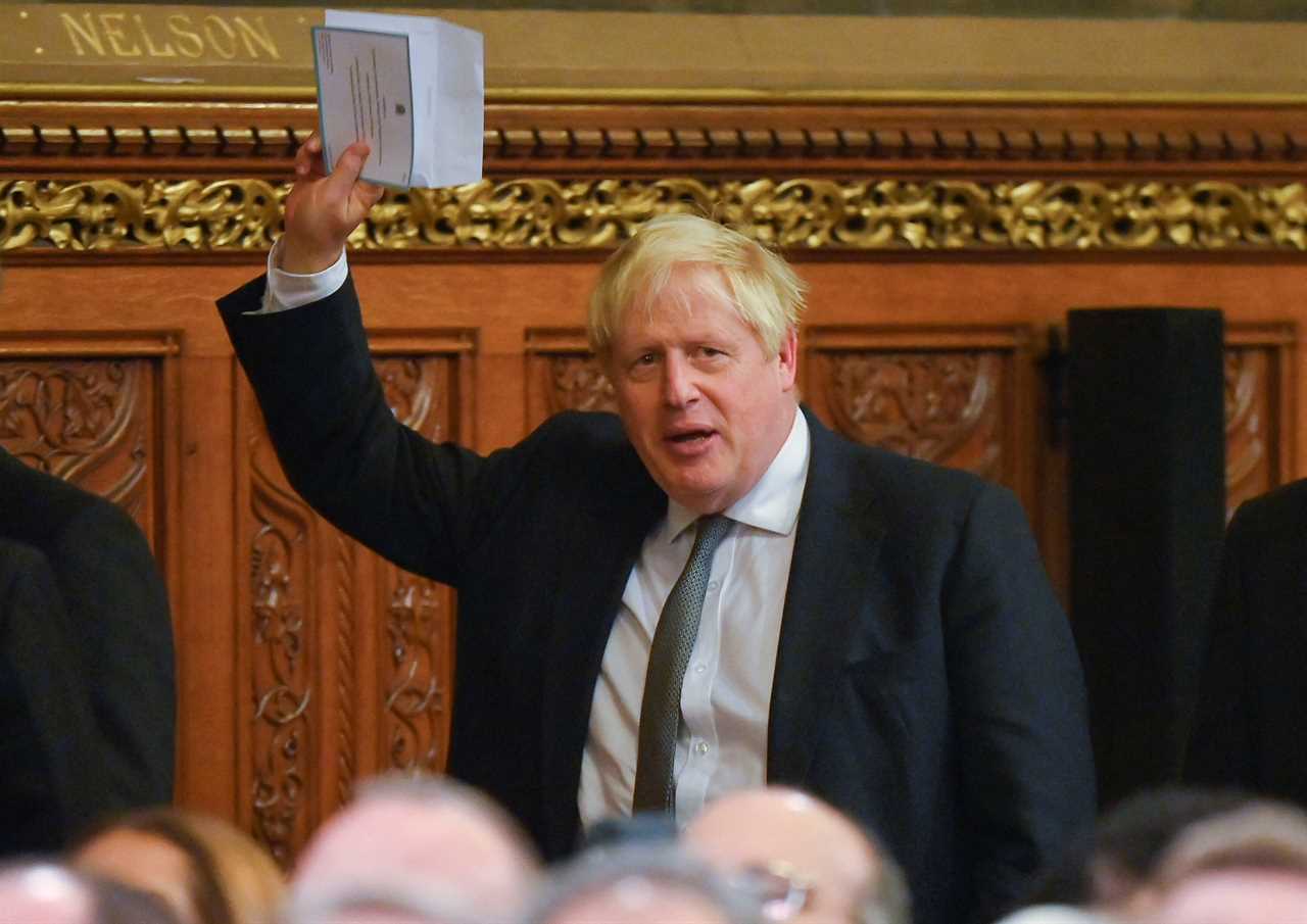 Boris Johnson WILL stand to be an MP again at the next election