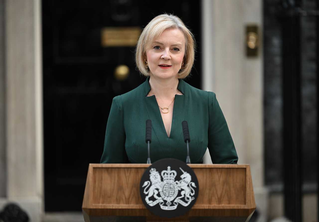 Liz Truss confirms she WILL stand as MP again – just months after being booted as PM