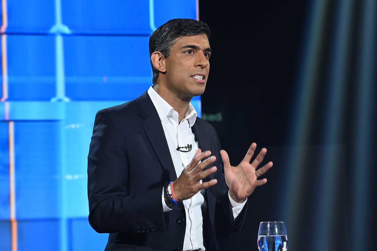 Rishi Sunak must deal with inflation, immigration and NHS crisis in 2023, major poll finds