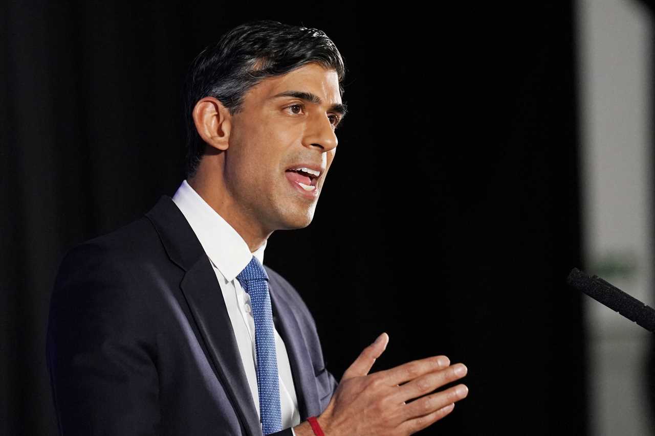 Rishi Sunak to announce that cops will be able to tackle climate protesters before they wreak havoc