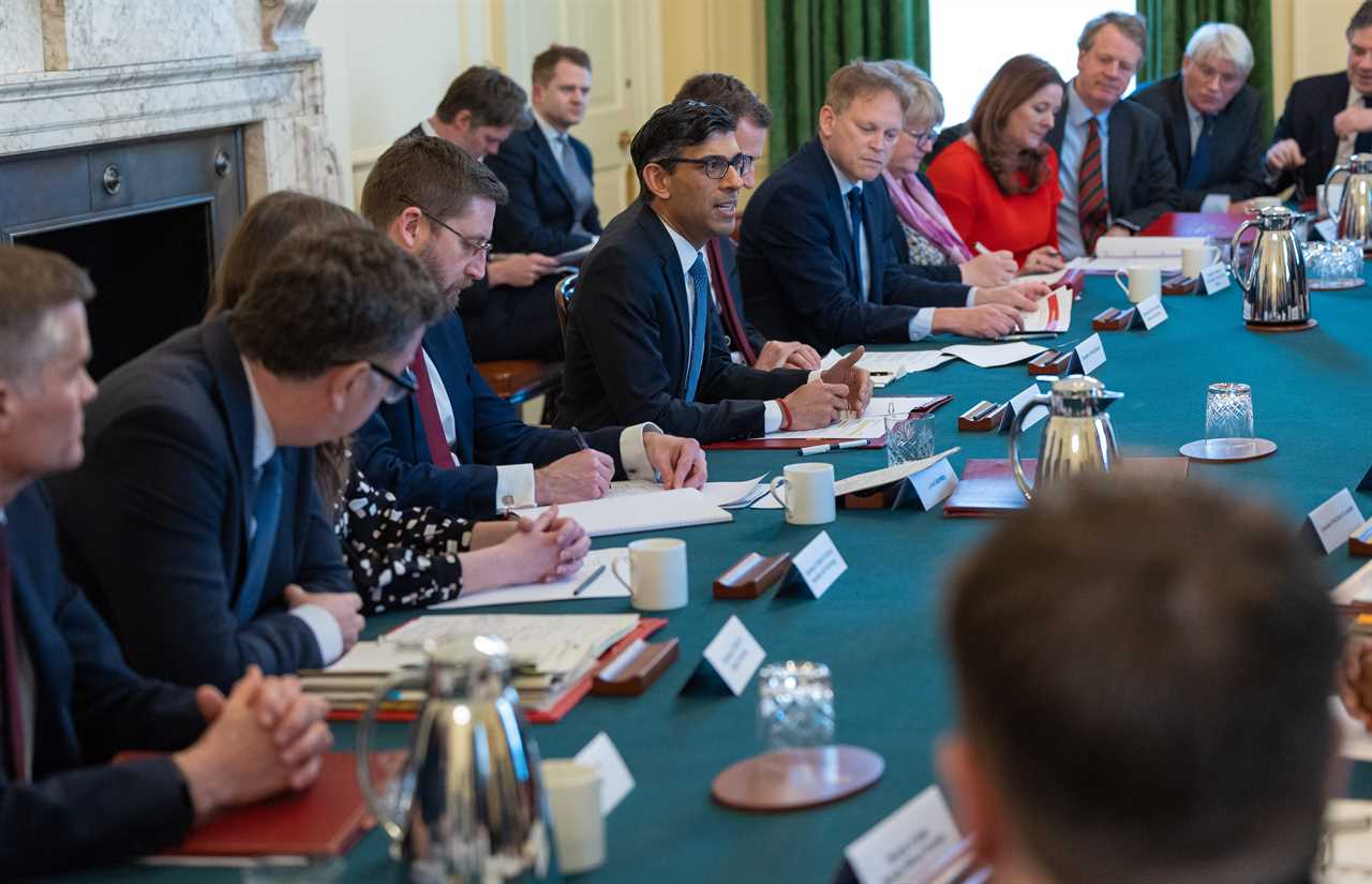 Rishi Sunak promotes trusted MP Greg Hands to be Tory chairman in Cabinet reshuffle