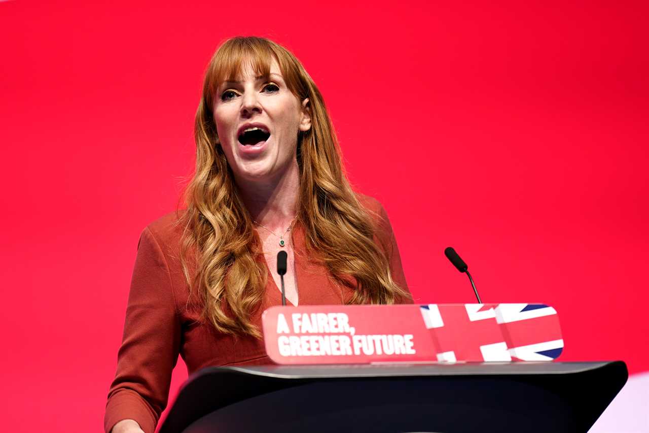 Angela Rayner left red-faced after lecturing Tories on public waste – while using her expenses-funded iPad