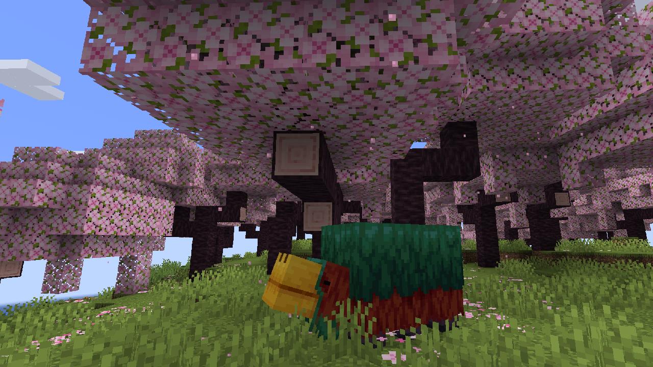 Minecraft update 1.20 will introduce a new Cherry Blossom biome