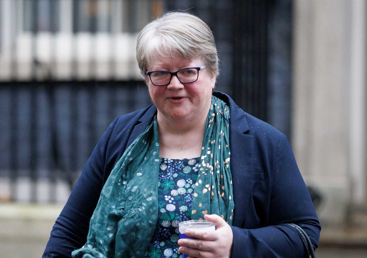 Therese Coffey tells Brits hit by the tomato crisis to eat turnips instead