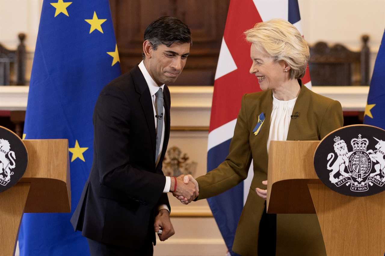 Rishi Sunak hails new Northern Ireland Brexit deal & puts an end to ‘sausage wars’