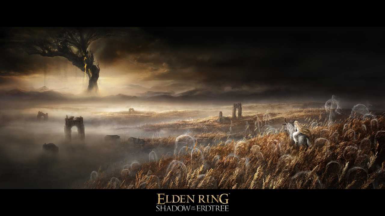 Elden Ring DLC expansion Shadow of the Erdtree is in the works
