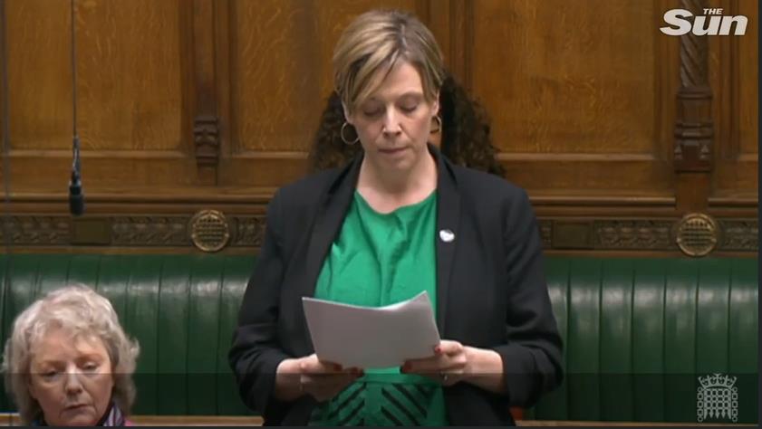 Heart-breaking moment Commons falls silent as MP reads names of every woman killed by a man last year