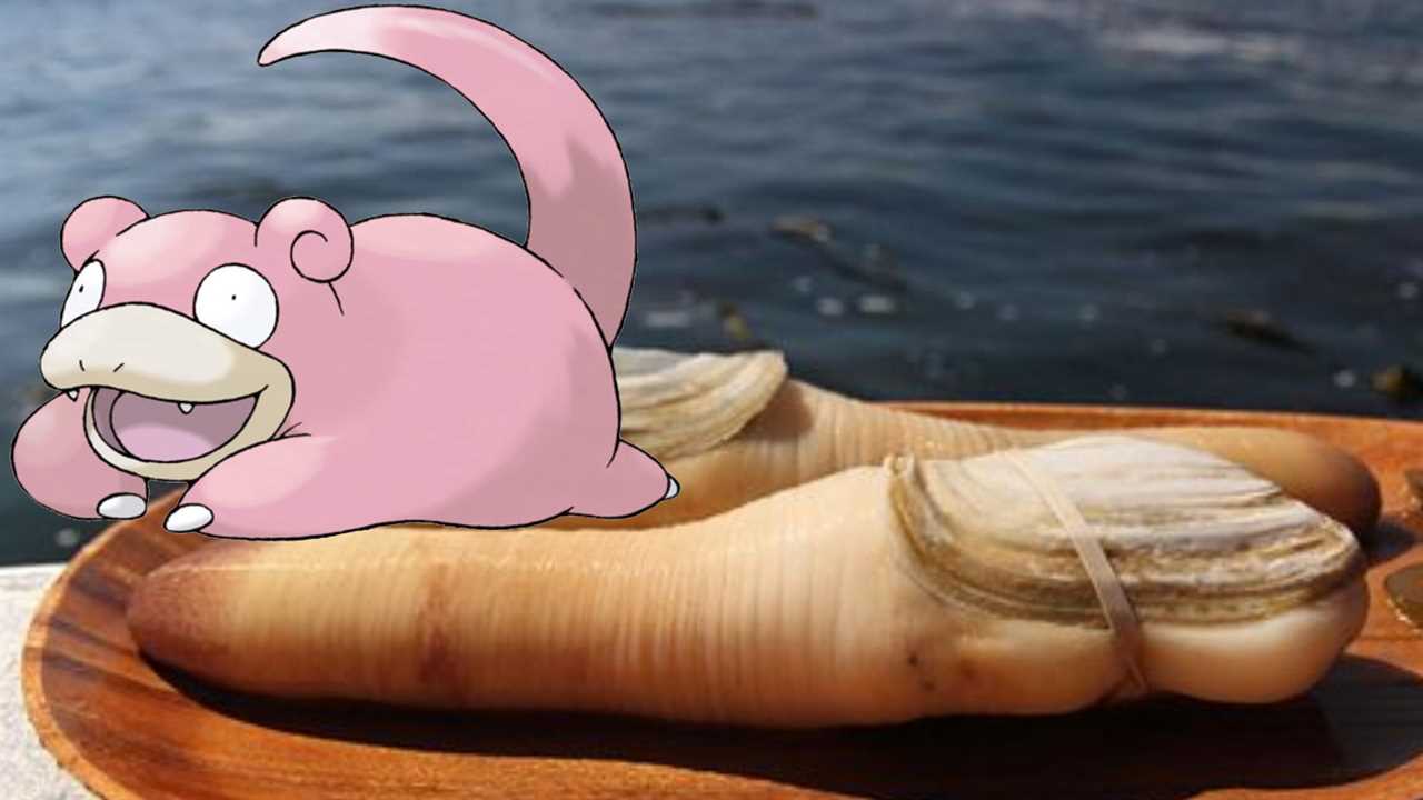 Five Pokémon that are based on the strangest real-life animals