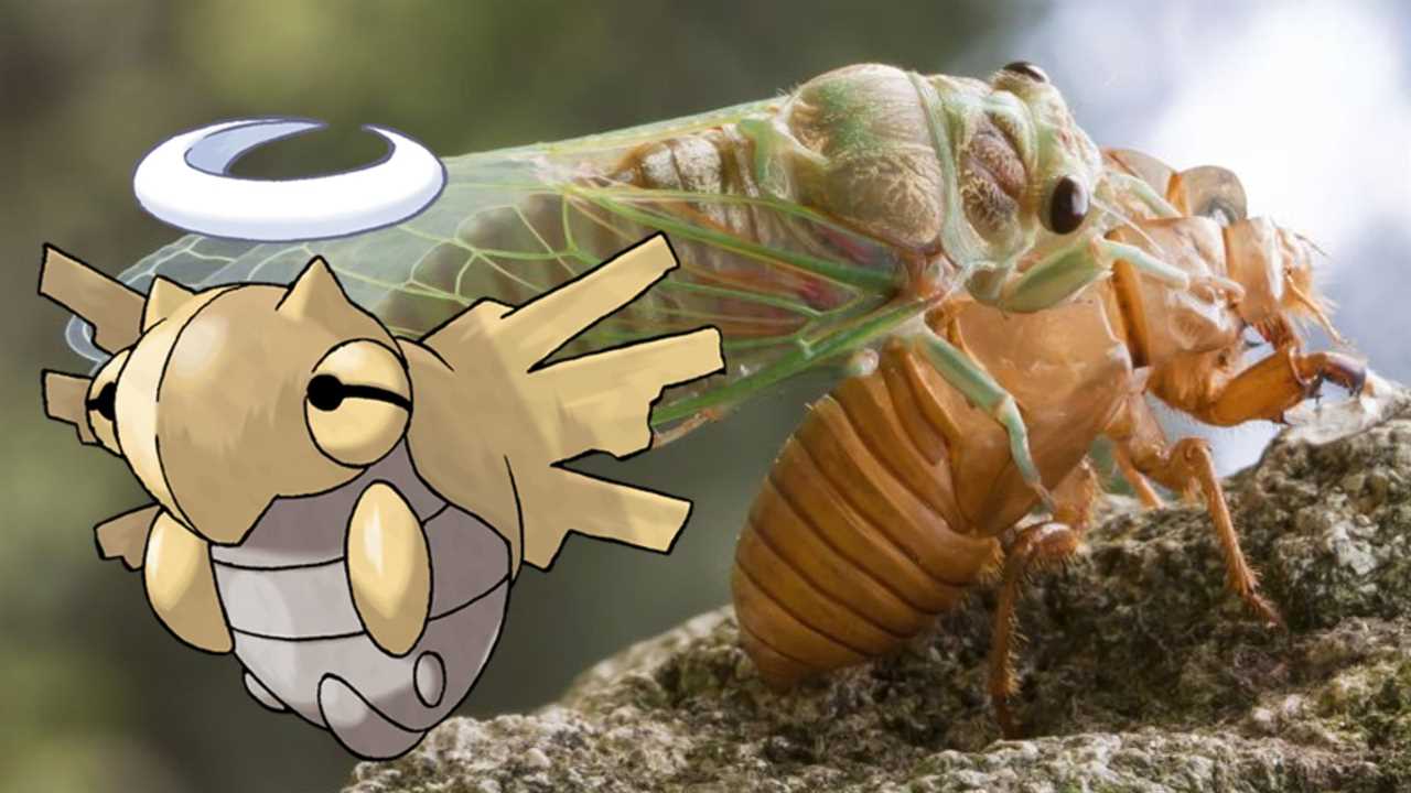 Five Pokémon that are based on the strangest real-life animals