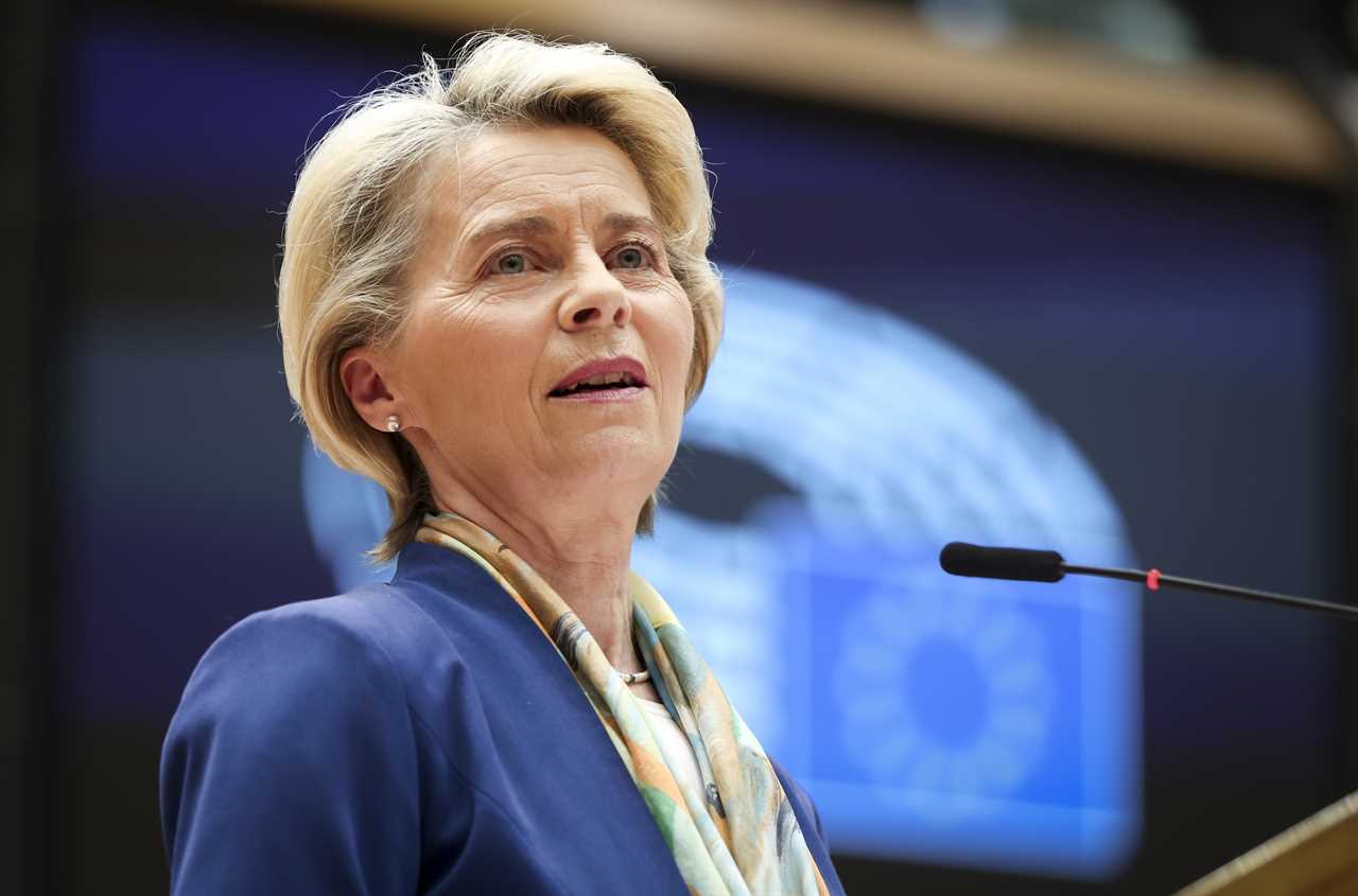 Euro boss Ursula von der Leyen is in the running to be new head of Nato