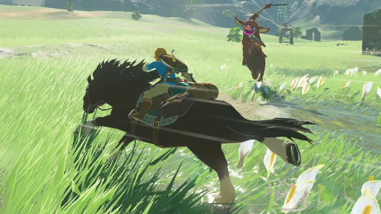 I’m a Zelda fan and one easy Breath of the Wild hack RUINED the game for me