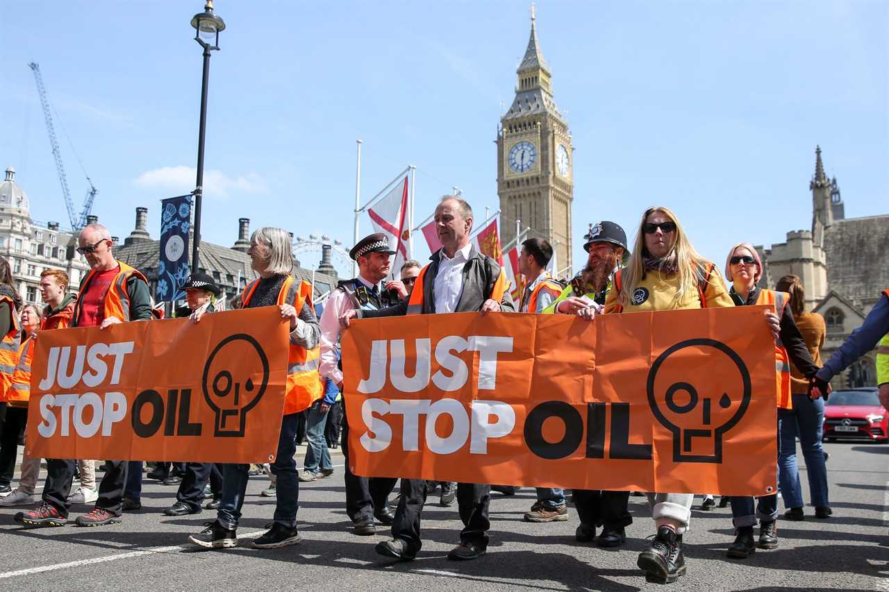 Eco zealots plotting carnage at the coronation by storming The Mall