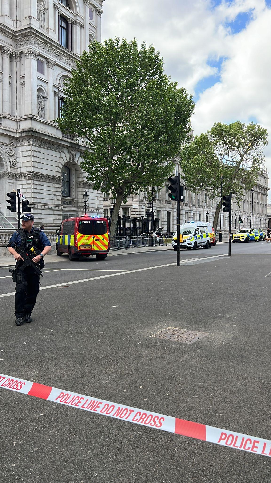 Westminster incident: Man arrested after car smashes into Downing Street gates sparking No 10 lockdown