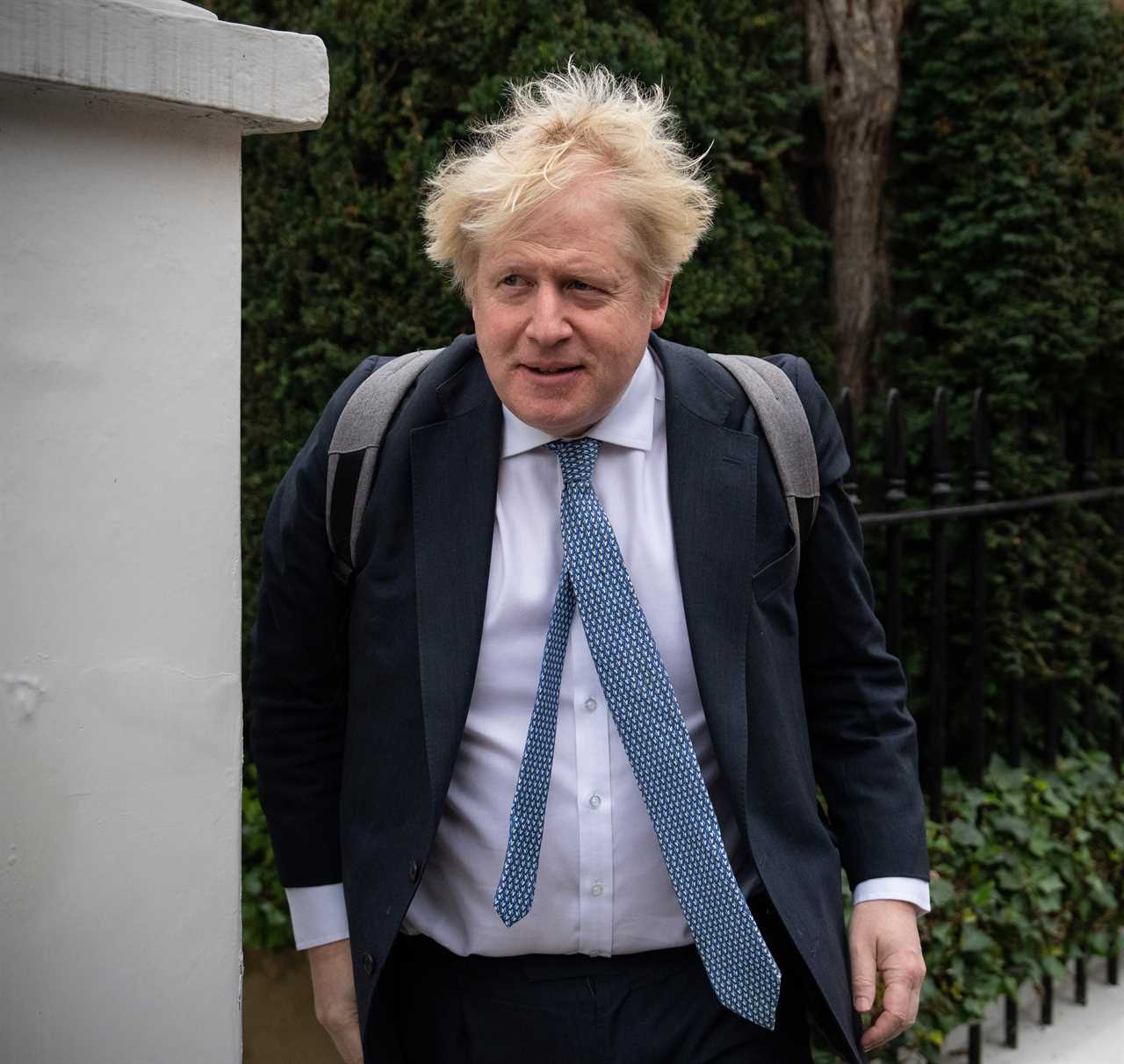 Ministers gear up for Covid court clash as Boris Johnson’s diaries won’t be handed over by Cabinet Office