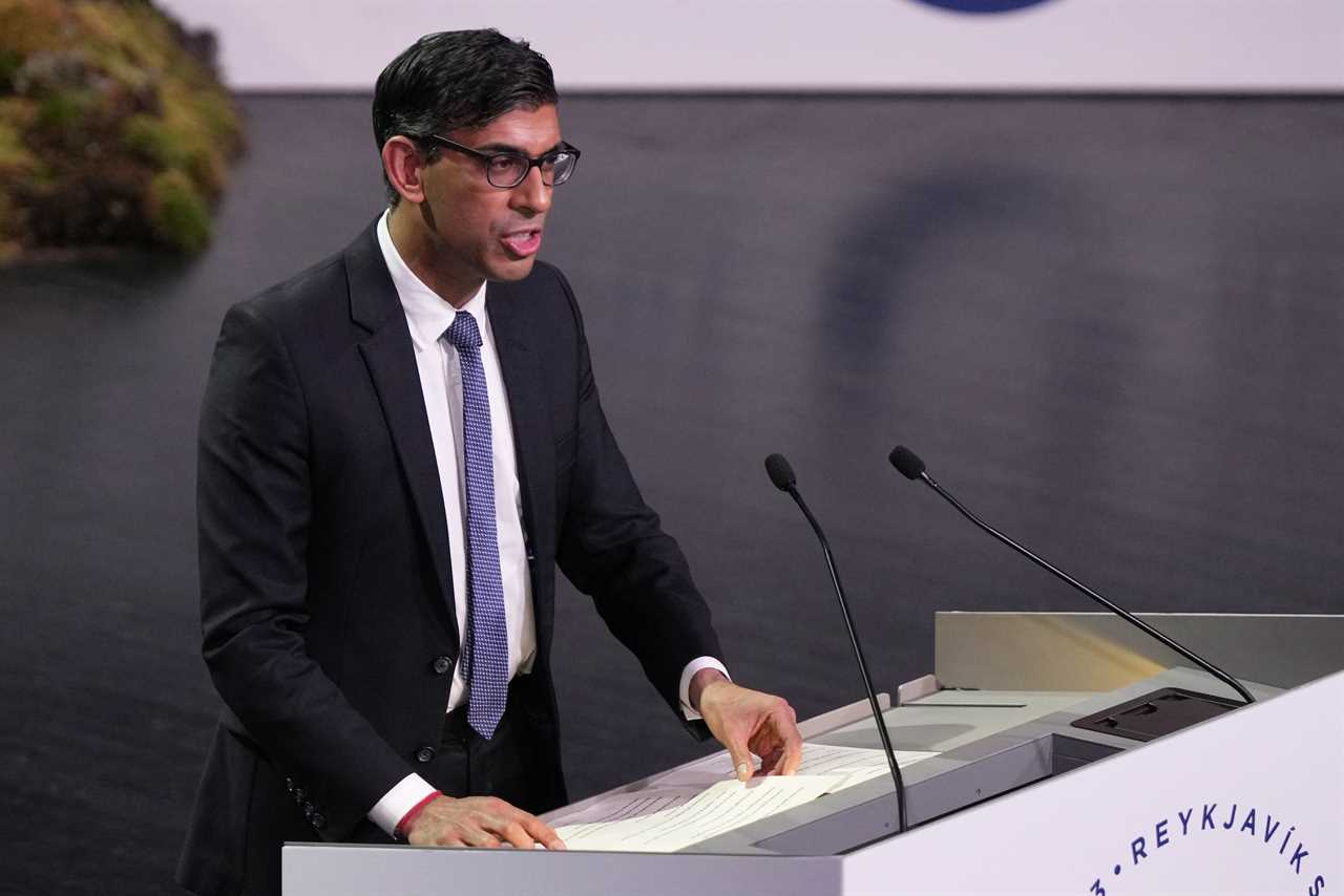 Rishi Sunak set to ban vape sellers giving kids free samples to get them hooked under crackdown