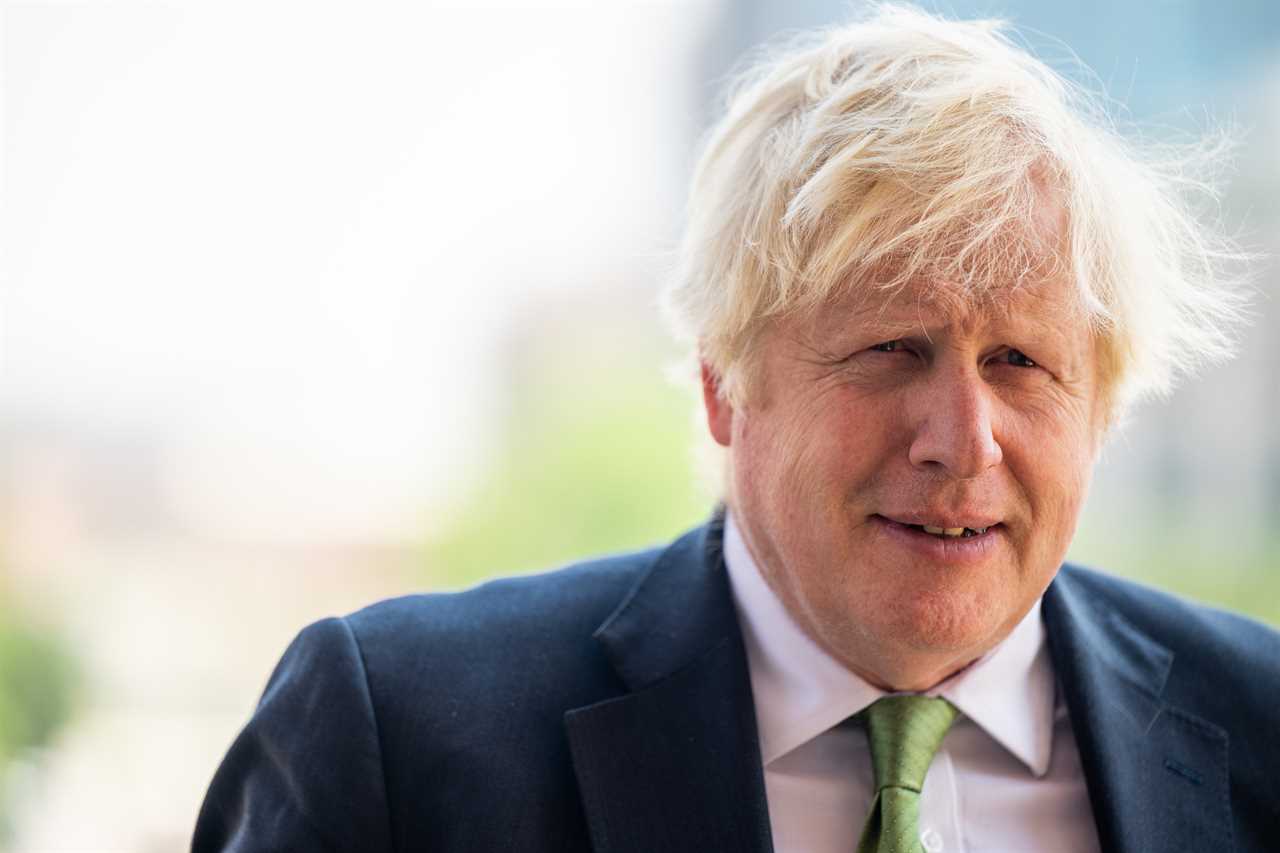 Boris Johnson’s ‘full and unredacted’ messages & Covid notebooks are handed over ahead of court clash