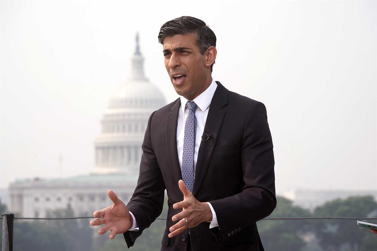 Rishi Sunak too ‘busy’ to meet Donald Trump during US trip but will sit down with some of billionaire’s biggest critics