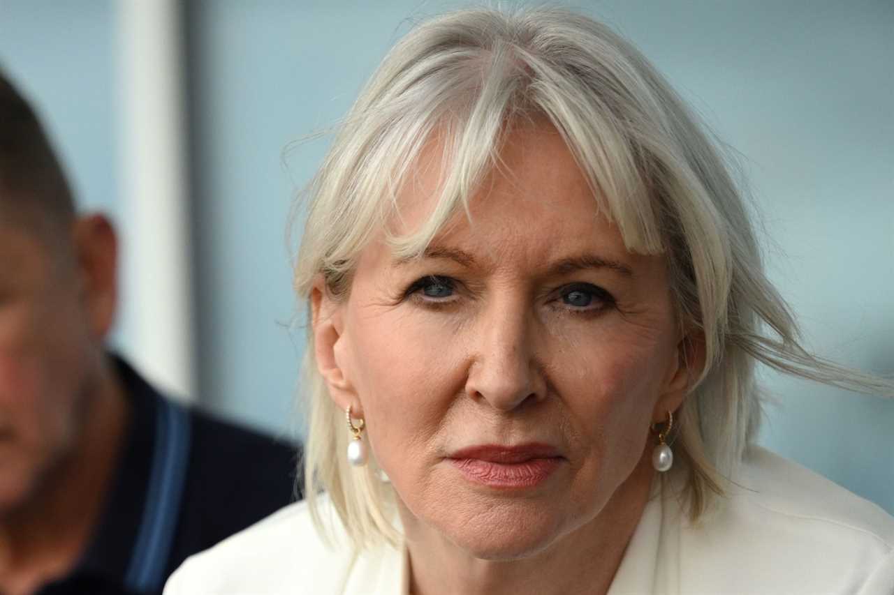 Nadine Dorries says there could be general election this year after quitting as MP