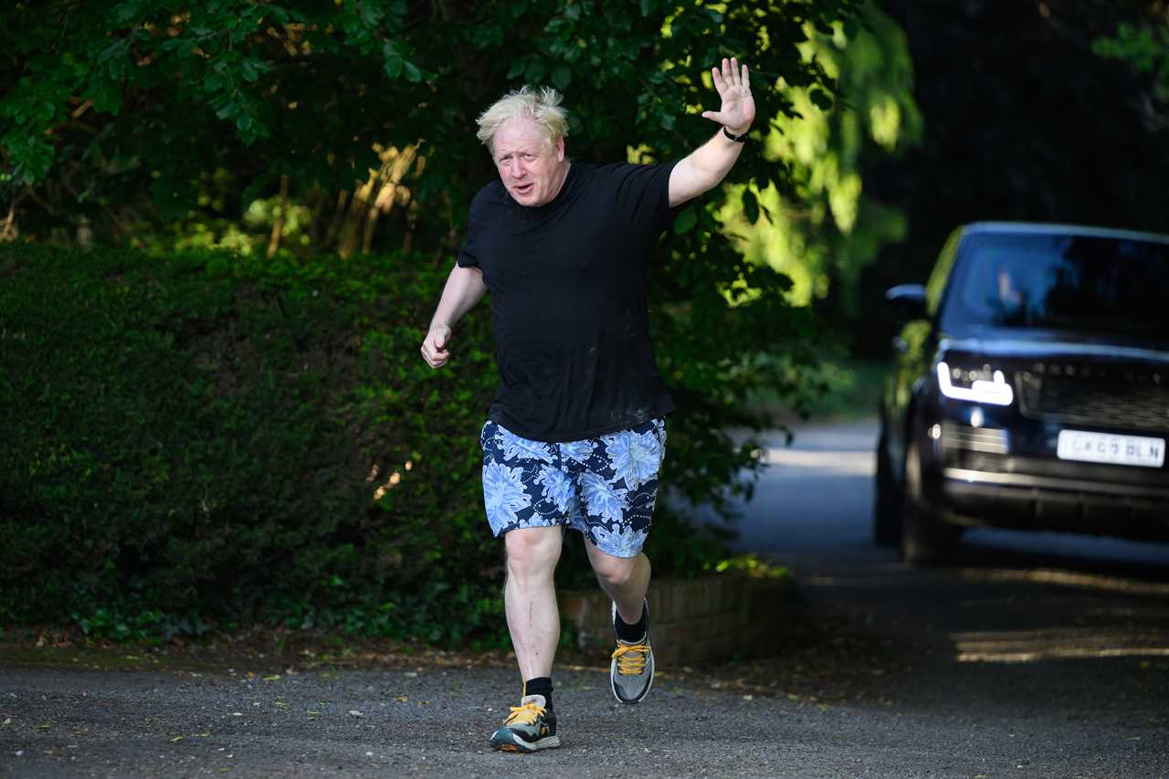 I tried fat-busting jab to stop raiding fridge for cheddar & chorizo – here’s how it went, Boris Johnson reveals