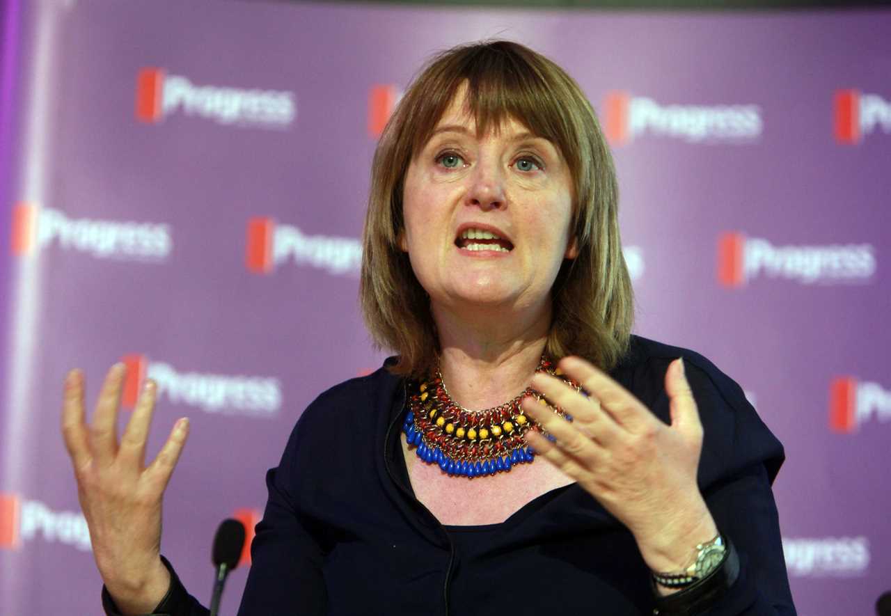 Margaret McDonagh dead: Labour’s first female general secretary dies aged 61 as Keir Starmer leads emotional tributes