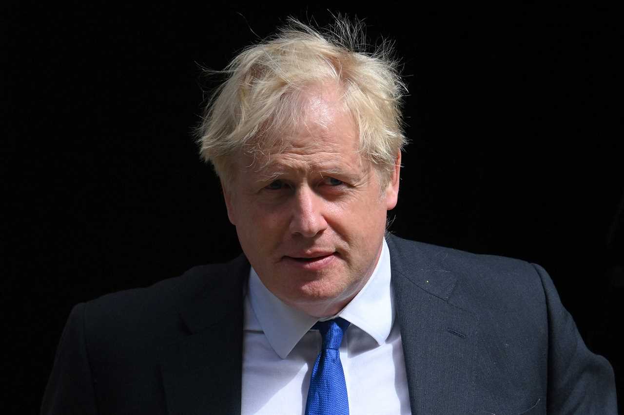 Commons panel which investigated Boris Johnson in free speech row after attacking critical MPs