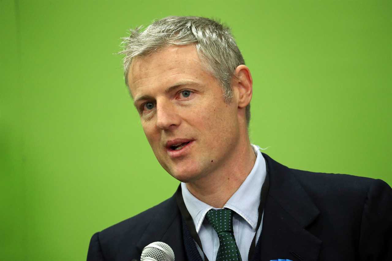 Zac Goldsmith QUITS after facing criticism over ‘interfering’ in Partygate probe