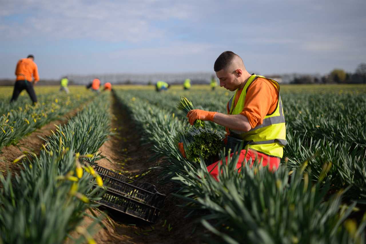 Top business chiefs vow to hire more home-grown talent & ex-lags rather than rely on cheaper migrant workers