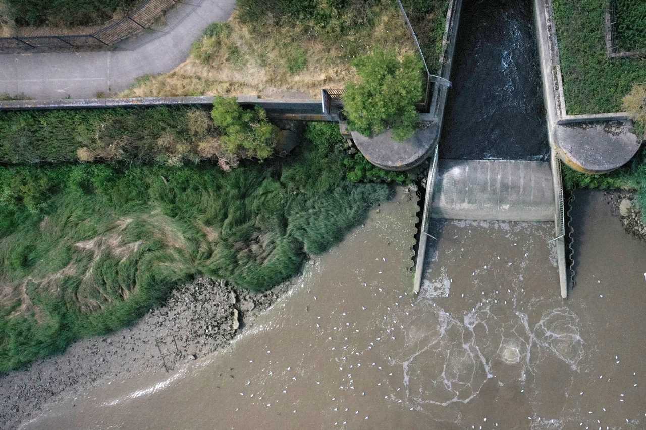 Debt-ridden Thames Water hit with multi-million pound fine for polluting rivers as firm ‘pushed to brink of collapse’