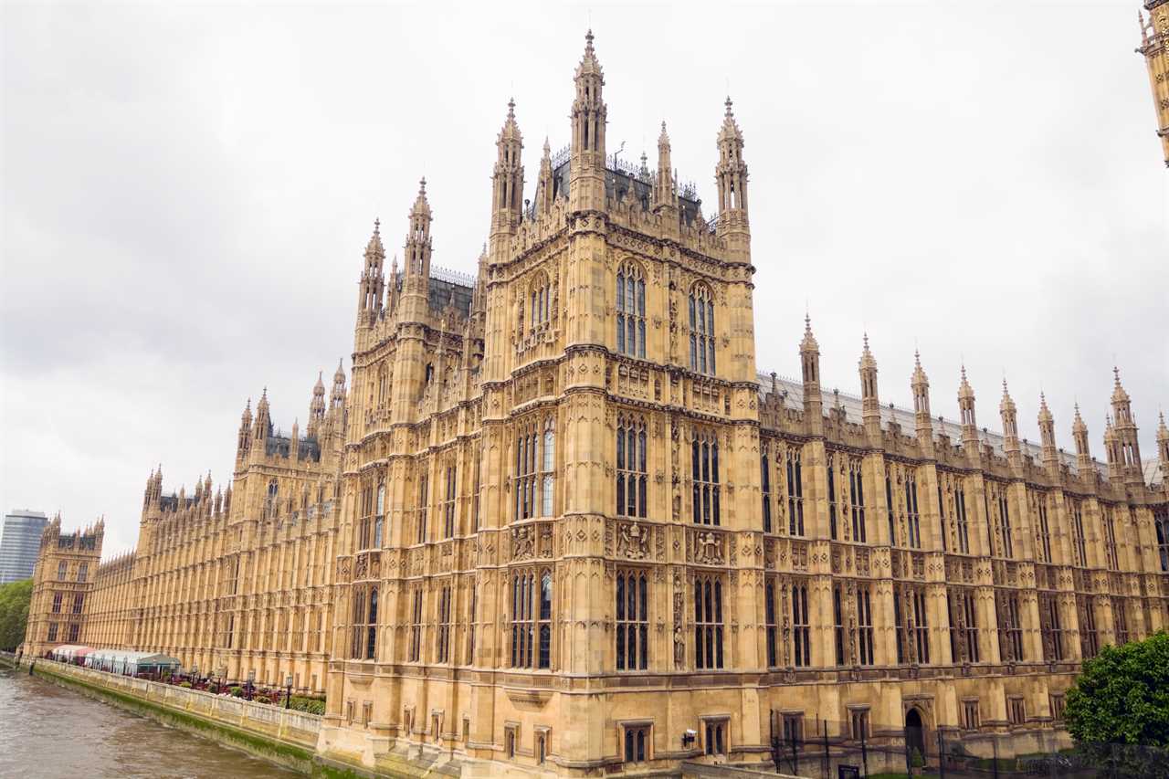 Eye-watering cost of trying to rid the House of Commons of rats revealed