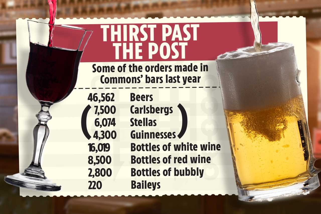 Boozing MPs spent £500,000 on cheap alcohol in 12 months including 24,000 bottles of wine