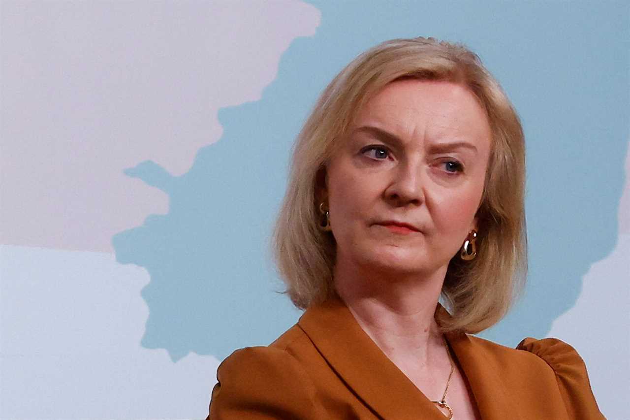 The eye-watering six-figure sum disastrous PM Liz Truss has been paid for just 14 hours of work since stepping down