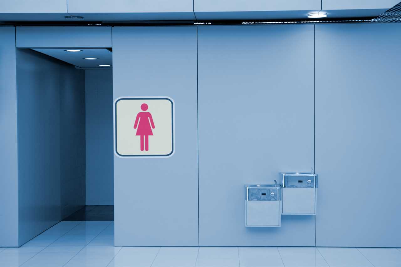 Female-only toilets will be guaranteed in new buildings amid rise of woke gender neutral loos