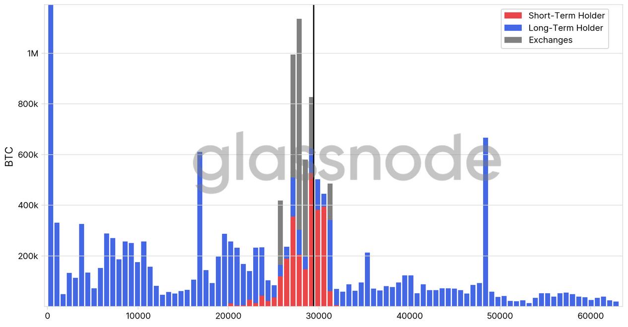 Is Bitcoin’s record-low volatility and decline in short-term holders a bull market signal?