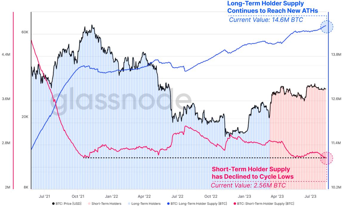 Is Bitcoin’s record-low volatility and decline in short-term holders a bull market signal?