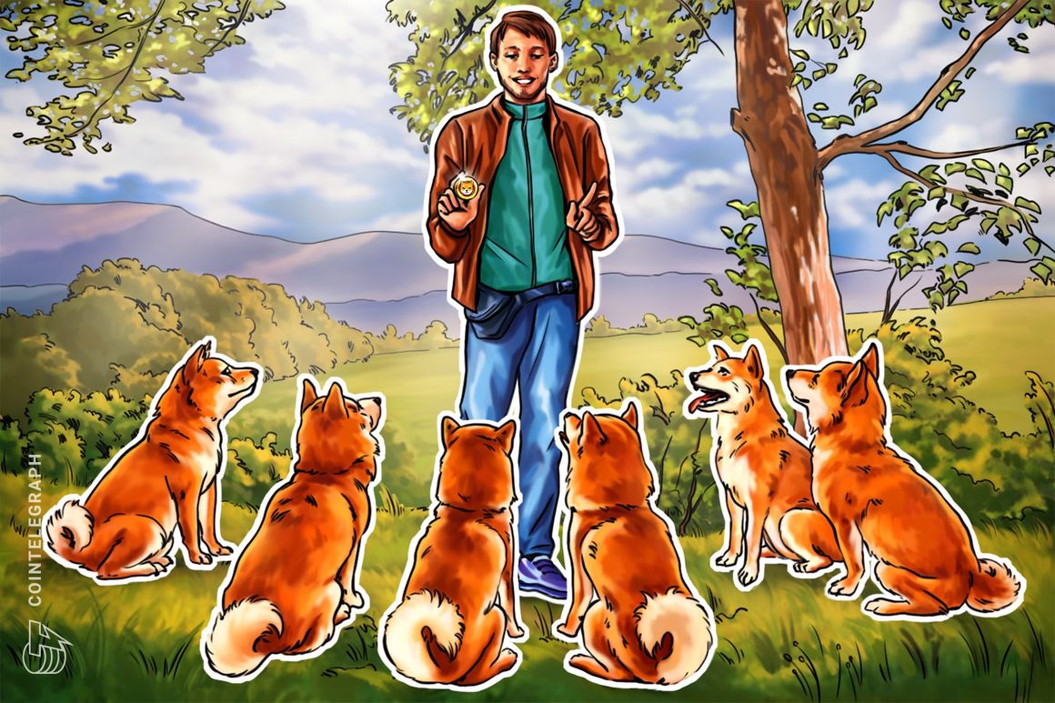 Shiba Inu's Shibarium Network back in action after temporary pause