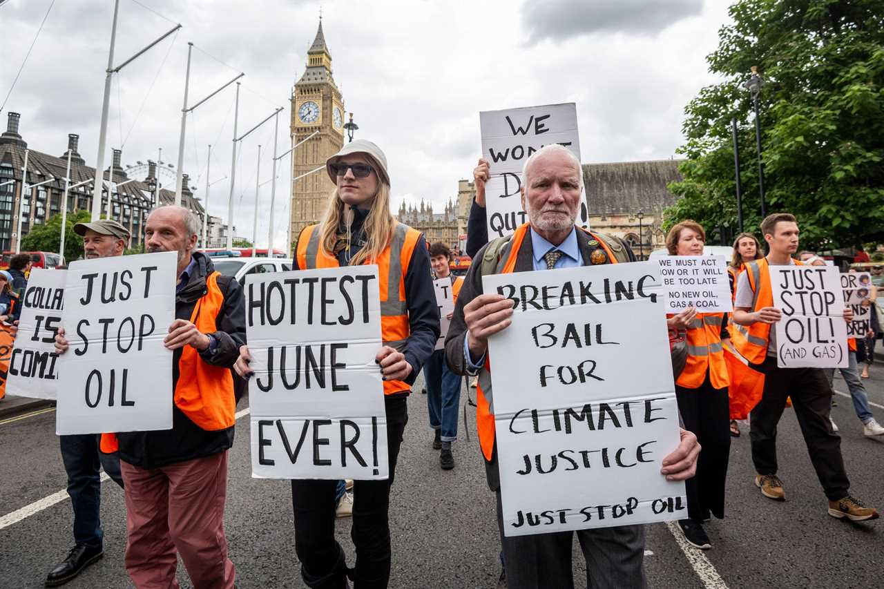 Protesters Recruiting Professors for Autumn Disruption at Universities