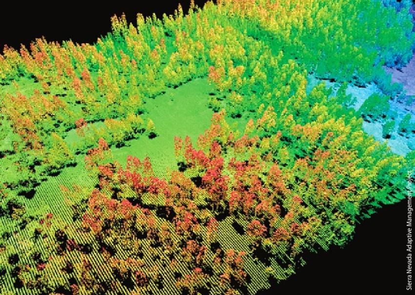 Nature-based carbon projects need more accurate measurement and verification, and dMRV could be the solution