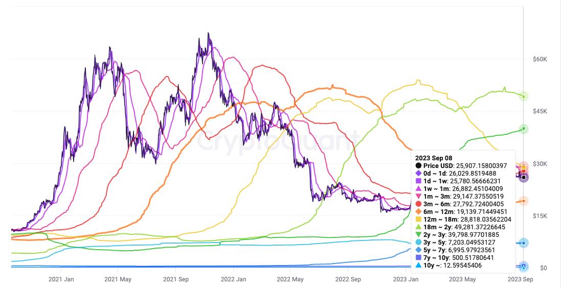 Bitcoin UTXOs echoing March 2020 'black swan' crash — New research