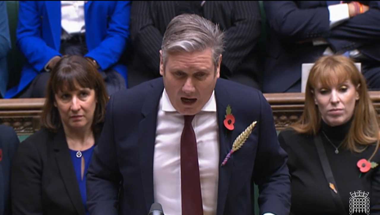 Why MPs Wear a Wheat Sheaf: The Meaning Explained