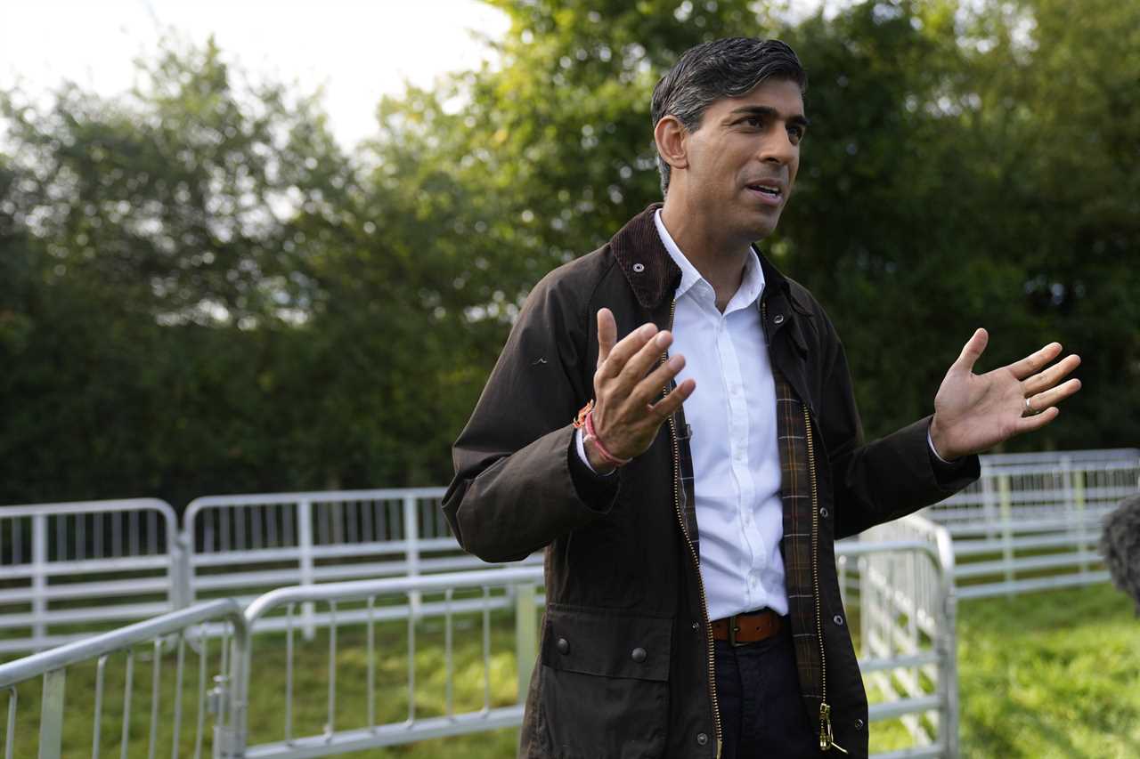 Rishi Sunak's Government Preparing for Snap Election Amid Speculation