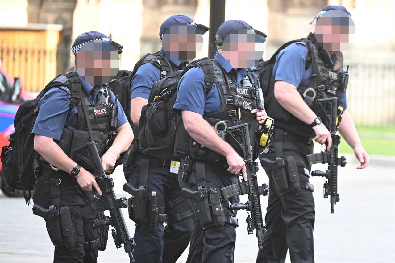 SAS stand down as armed police return to duty in London after 300 cops handed in guns in protest