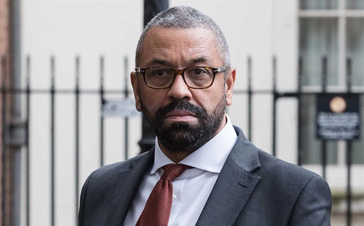 Foreign Secretary James Cleverly criticizes calls for Gaza ceasefire