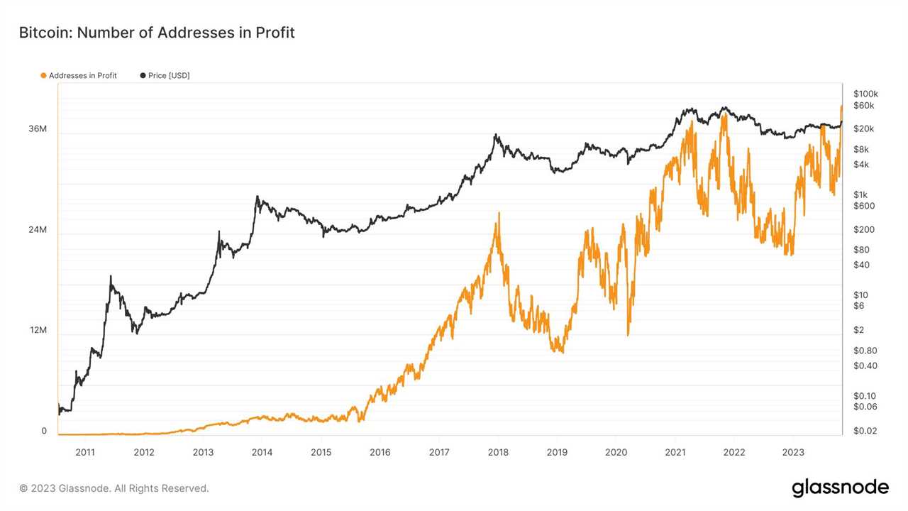 Bitcoin Wallet Addresses in Profit Reach All-Time High Despite Price Dip