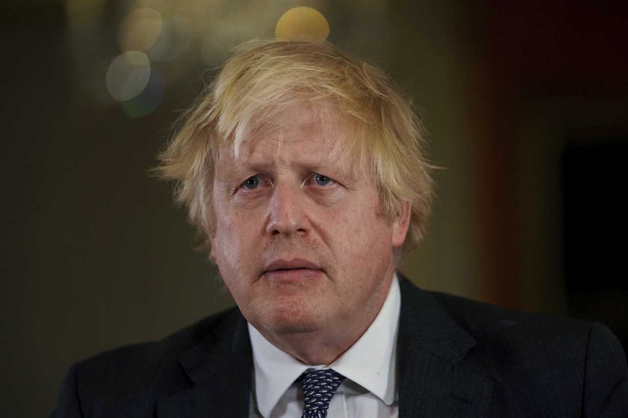 Boris Johnson's Bizarre Covid Cure Question Revealed in Inquiry