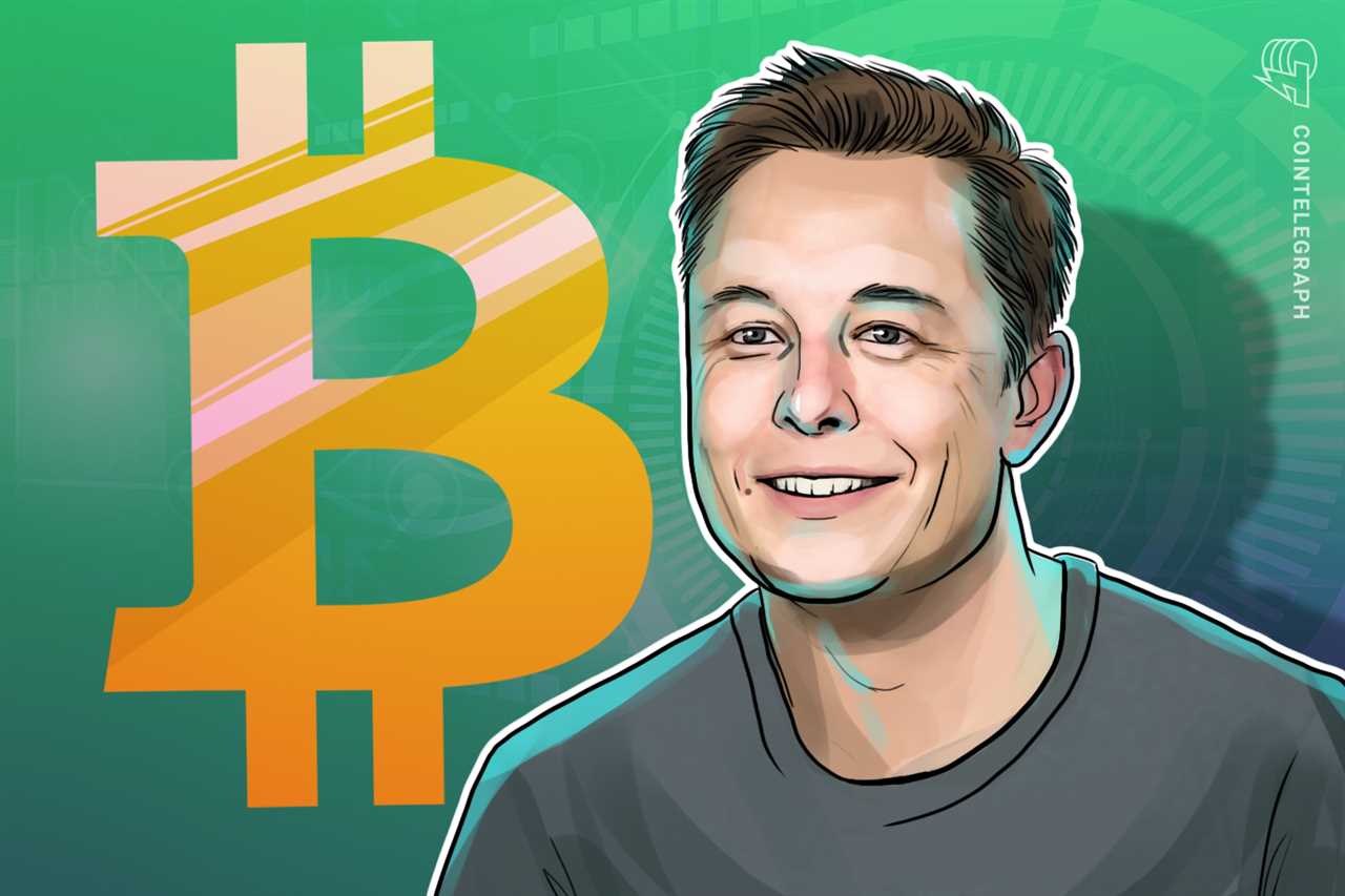 Elon Musk's Comments Unintentionally Highlight the Case for Bitcoin NFTs