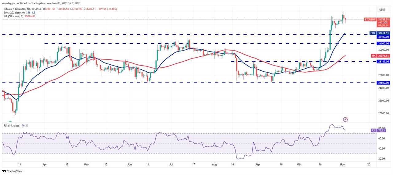 Bitcoin and Top Altcoins Face Resistance, Find Out Key Support Levels